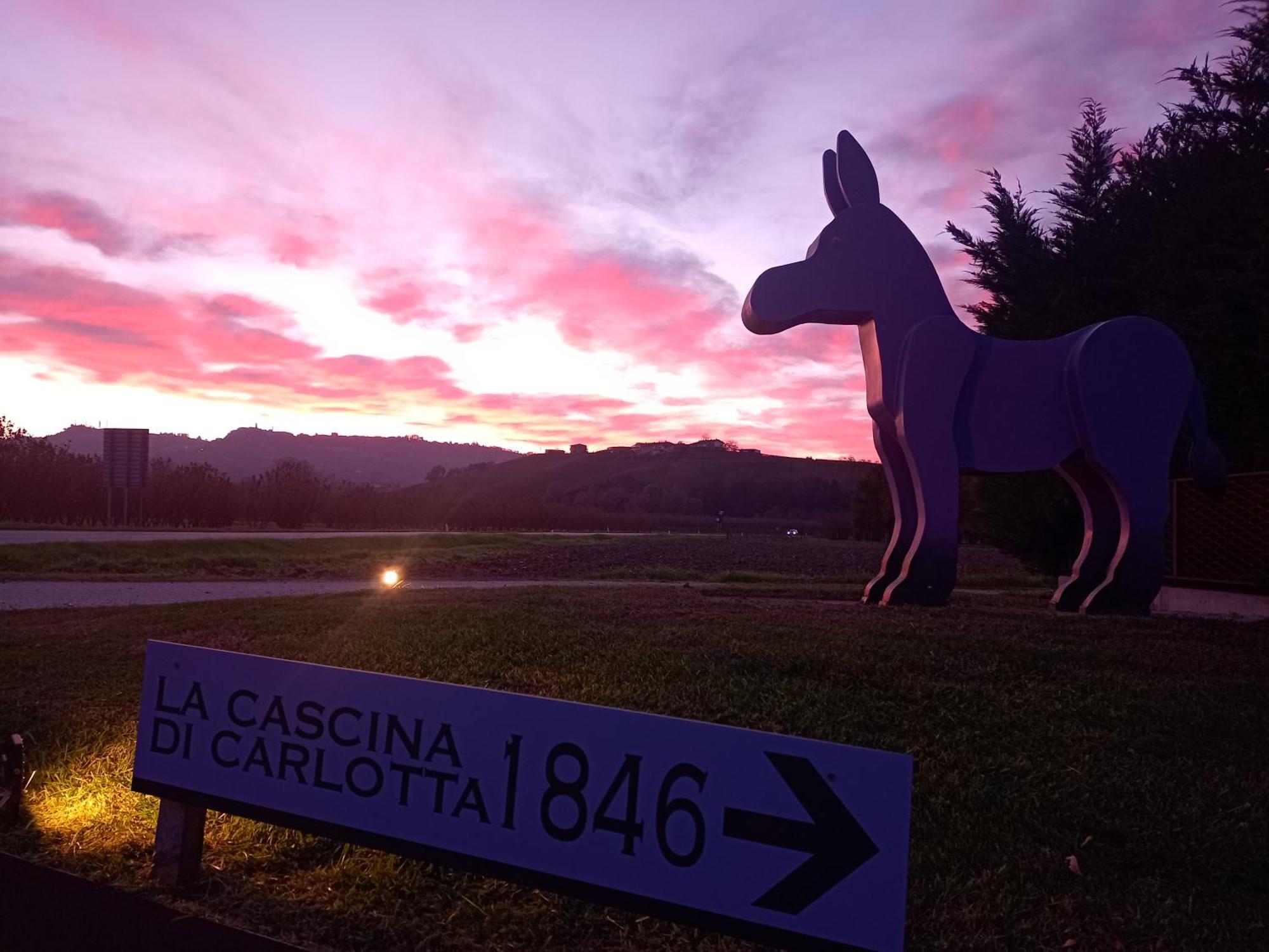 La Cascina Di Carlotta 1846 Agriturismo ألبا المظهر الخارجي الصورة